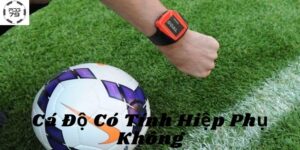 Cá Độ Có Tính Hiệp Phụ Không