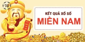 Cách Dò Vé Số Miền Nam